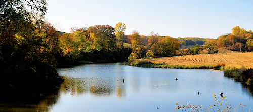 Pond